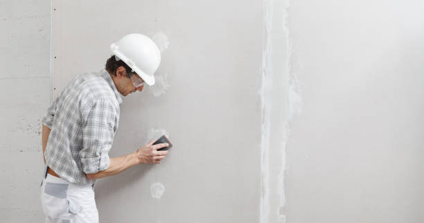 Best Air Quality Testing for Mold Spores  in Madison, AL