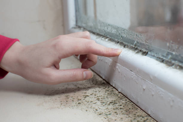 Best Airborne Mold Testing  in Madison, AL