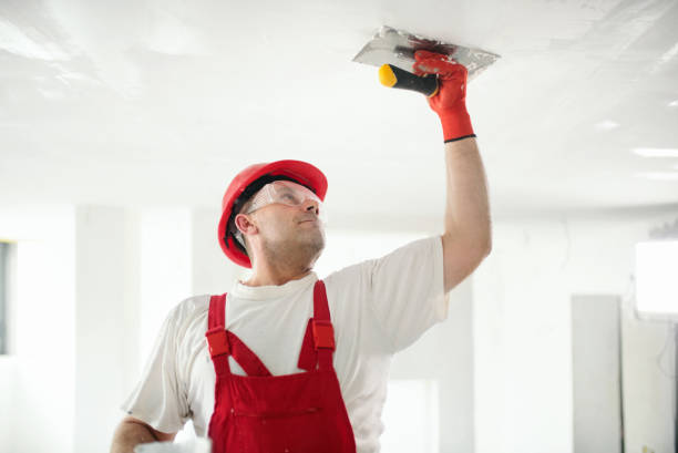 Best Mold Remediation for Rental Properties  in Madison, AL