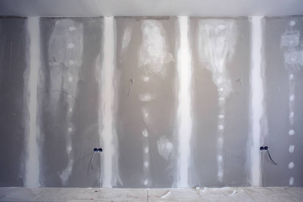 Best Post-Construction Mold Inspection  in Madison, AL